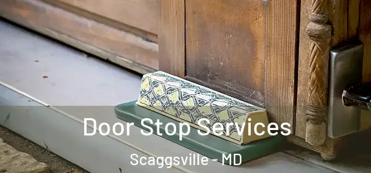 Door Stop Services Scaggsville - MD