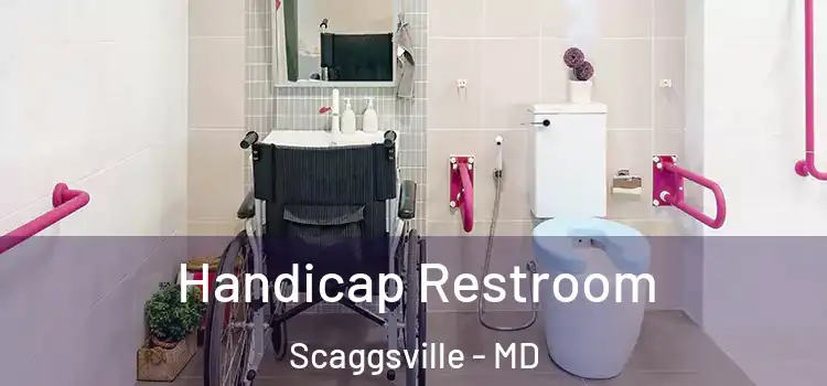 Handicap Restroom Scaggsville - MD
