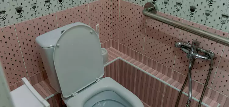 Meeting Diverse Needs With Accessible Restroom Solutions in Scaggsville, MD